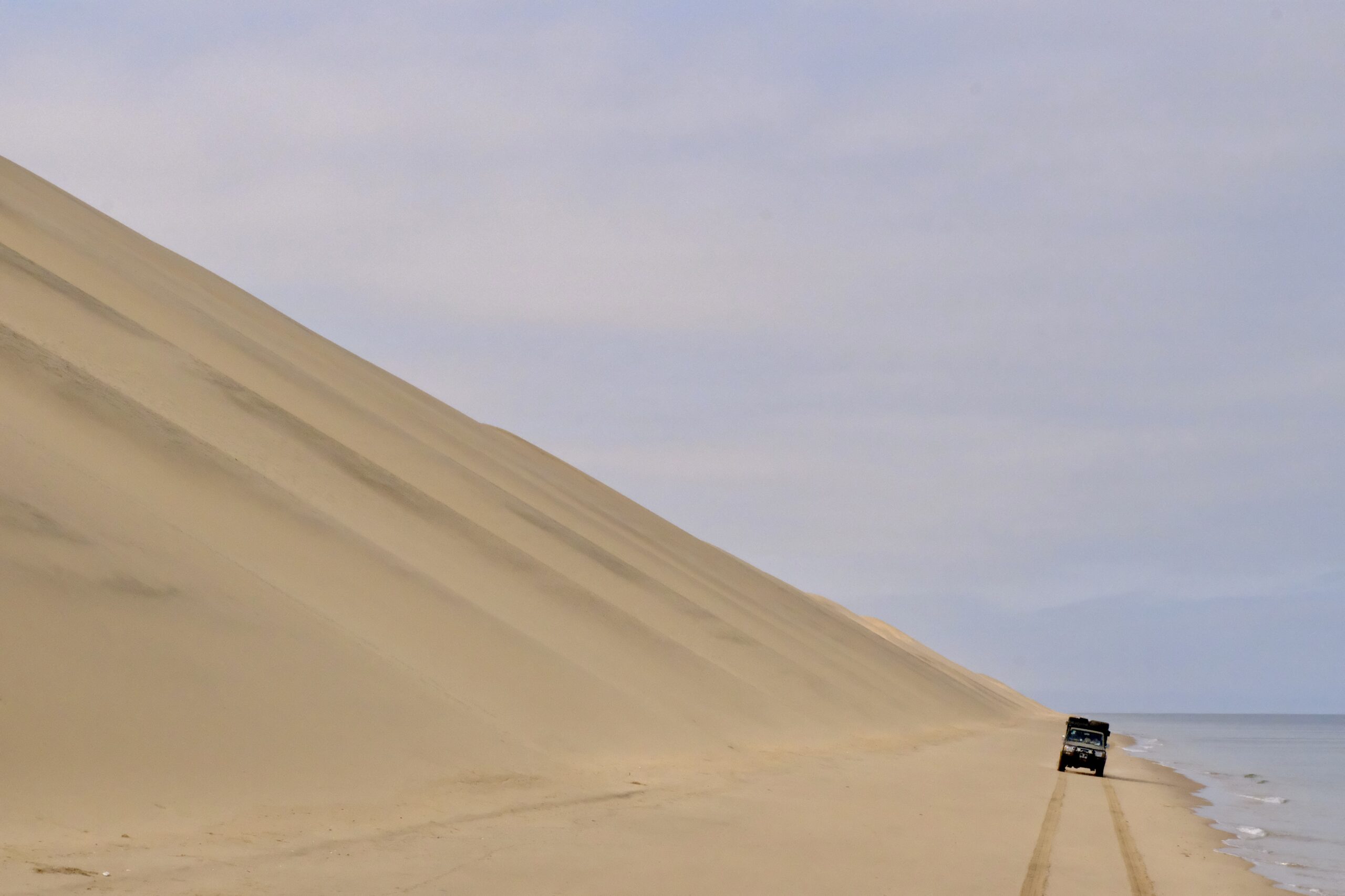 dessert activity by dmxplorations