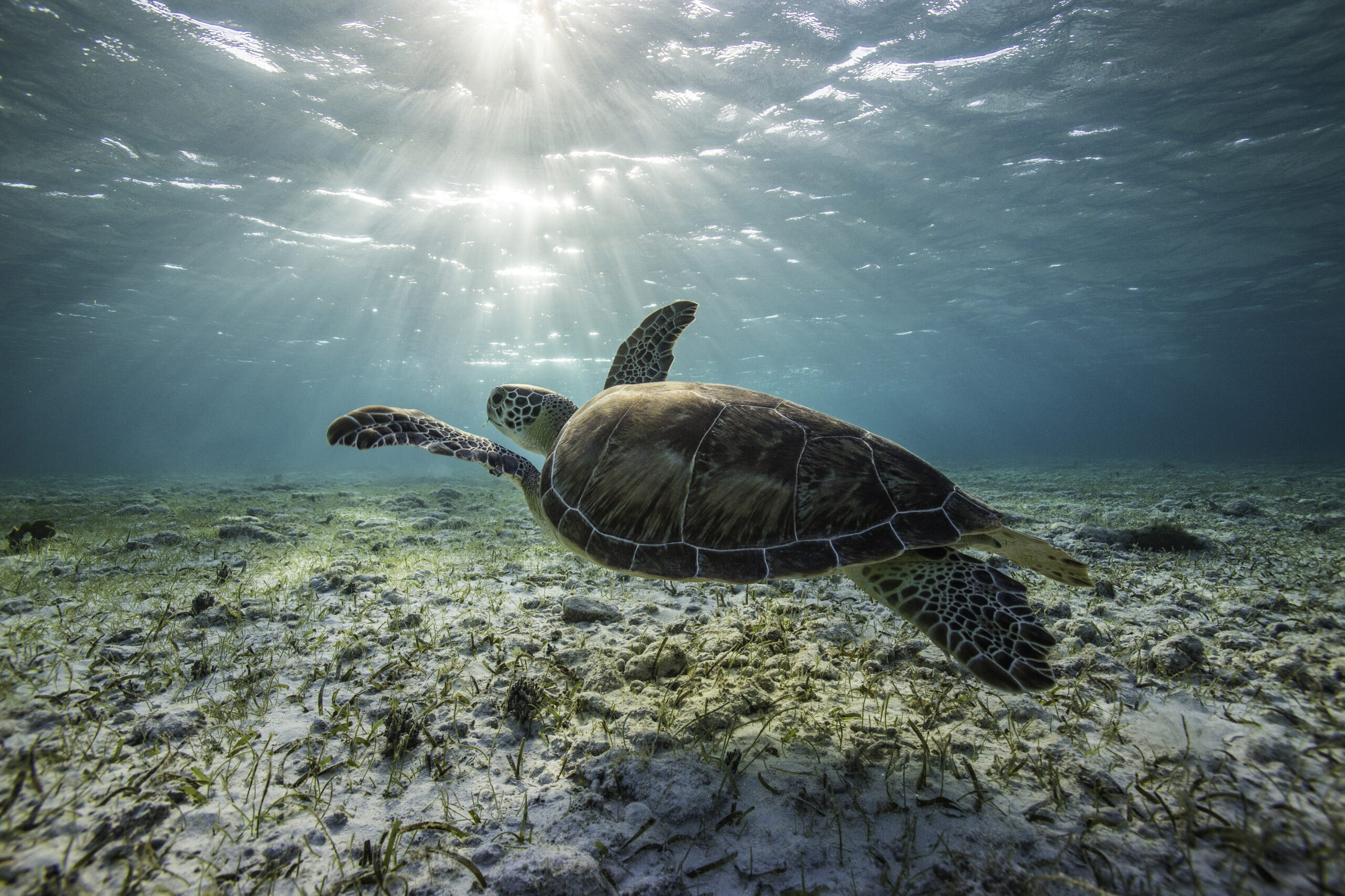 sea adventure activity