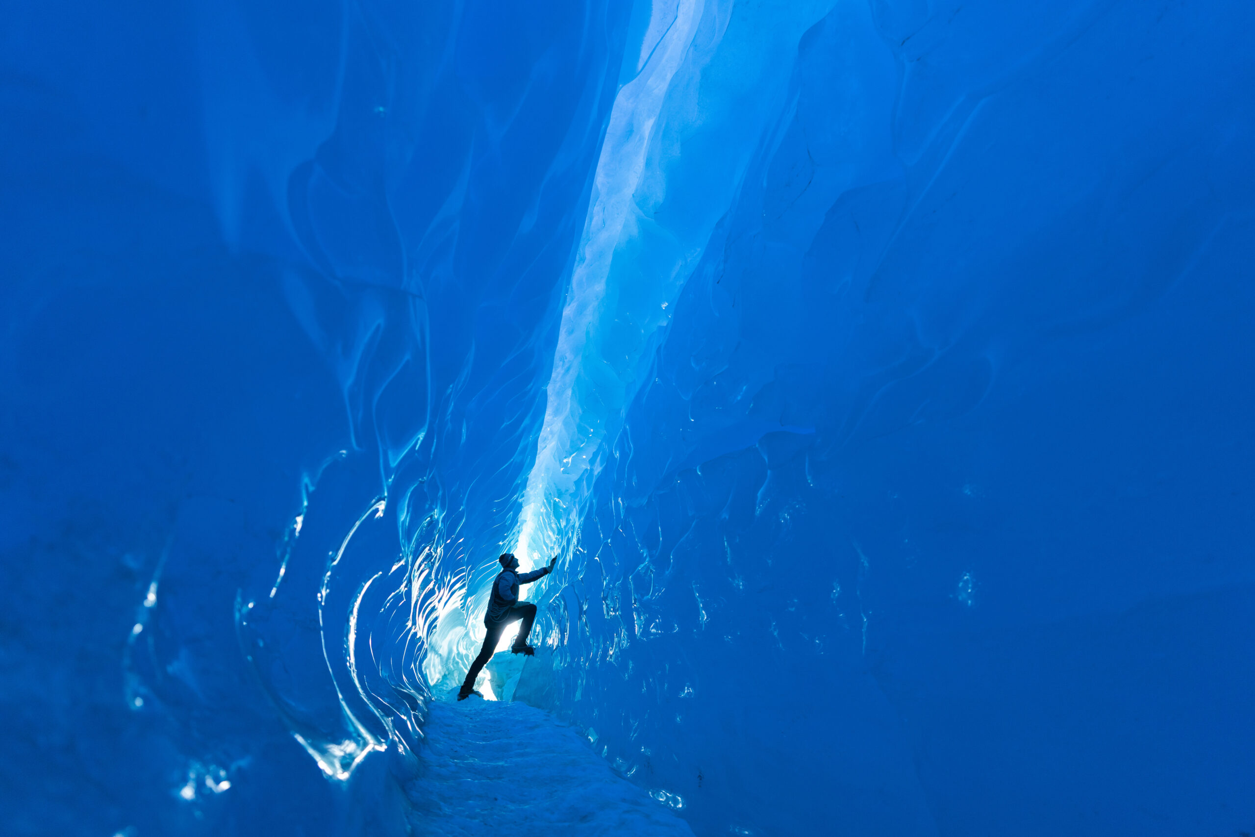 anteractica activity with dmxplorations